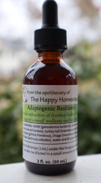 Image 1 of Adaptogenic Resiliency Extract (Double Extraction)