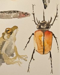 Image 4 of A sheet of Debauchery in Watercolour 