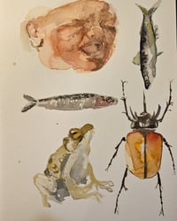 Image 1 of A sheet of Debauchery in Watercolour 