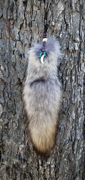 Image of Coyote Tail with Tooth