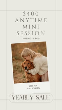 $400 ANYTIME MINI SESSION 