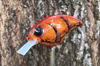 Image 2 of SPEEDBAITS Custom Airbrushed Sonic Crank 2835