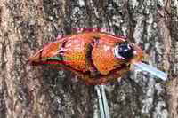 Image 3 of SPEEDBAITS Custom Airbrushed Sonic Crank 2835