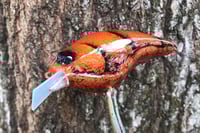 Image 4 of SPEEDBAITS Custom Airbrushed Sonic Crank 2835