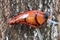 Image 6 of SPEEDBAITS Custom Airbrushed Sonic Crank 2835