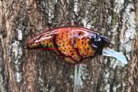 Image 2 of SPEEDBAITS Custom Airbrushed Sonic Crank 2883