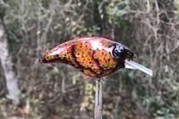 Image 6 of SPEEDBAITS Custom Airbrushed Sonic Crank 2883