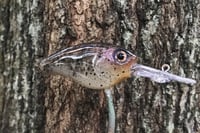 Image 2 of  Custom Airbrushed Combat Crankbait 3051