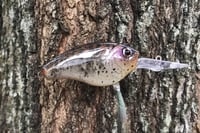 Image 4 of  Custom Airbrushed Combat Crankbait 3051