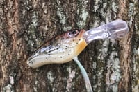 Image 6 of  Custom Airbrushed Combat Crankbait 3051