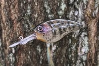 Image 8 of  Custom Airbrushed Combat Crankbait 3051