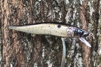 Image 2 of  Custom Airbrushed Jerkbait TA 110 3087