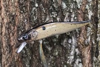 Image 4 of  Custom Airbrushed Jerkbait TA 110 3087