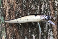 Image 6 of  Custom Airbrushed Jerkbait TA 110 3087