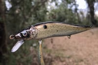 Image 1 of  Custom Airbrushed Jerkbait TA 110 3087