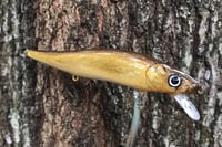 Image 8 of Custom Airbrushed Jerkbait TA 110 3108