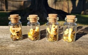Image of Bobcat Bone and Gemstone Bottle