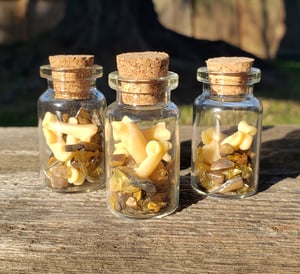 Image of Bobcat Bone and Gemstone Bottle