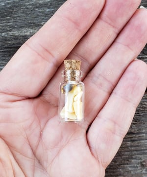 Image of Bobcat Bone and Gemstone Bottle