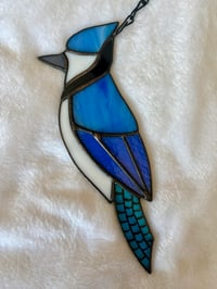 Image 2 of Blue Jay 