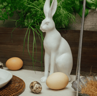 Image 1 of Harold the Hare - White