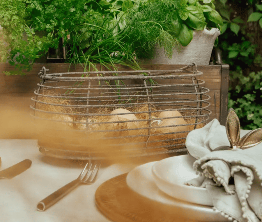 Image of Wire Oval Egg Basket