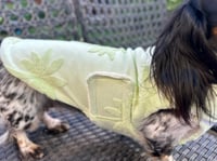 Image 3 of Palm Tree Towel Coat