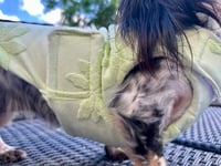 Image 4 of Palm Tree Towel Coat