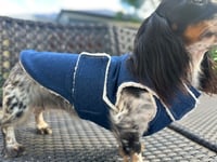 Image 2 of Denim Chest Cover Coat