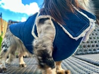 Image 3 of Denim Chest Cover Coat