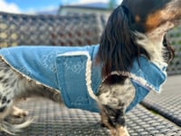 Image 1 of Hello Kitty Denim Chest Cover Coat