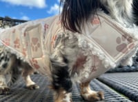 Image 2 of Paw prints Raincoat