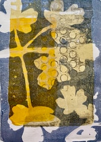 Image 4 of Gelliprinting  for Beginners on  07/03/26 at Clevedon Craft Centre