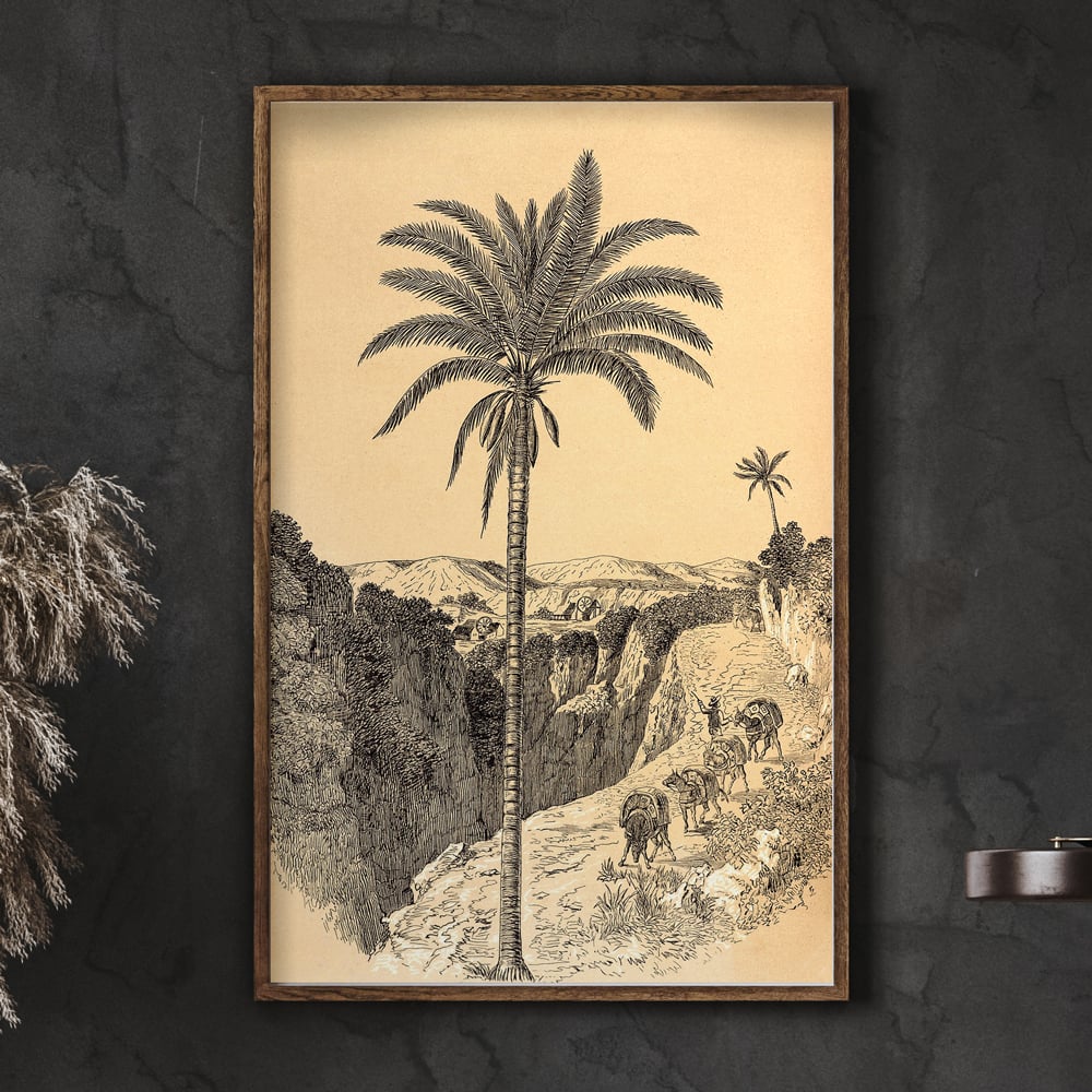 19th-century-botanical-