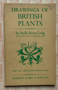Image 1 of Drawings of British Plants Part XIV