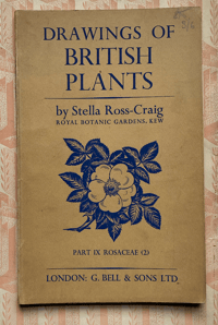 Image 2 of Drawings of British Plants Part IX