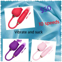 Rose and Vibrator 