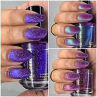 Image 8 of Chapter XIII - Anniversary Trio 