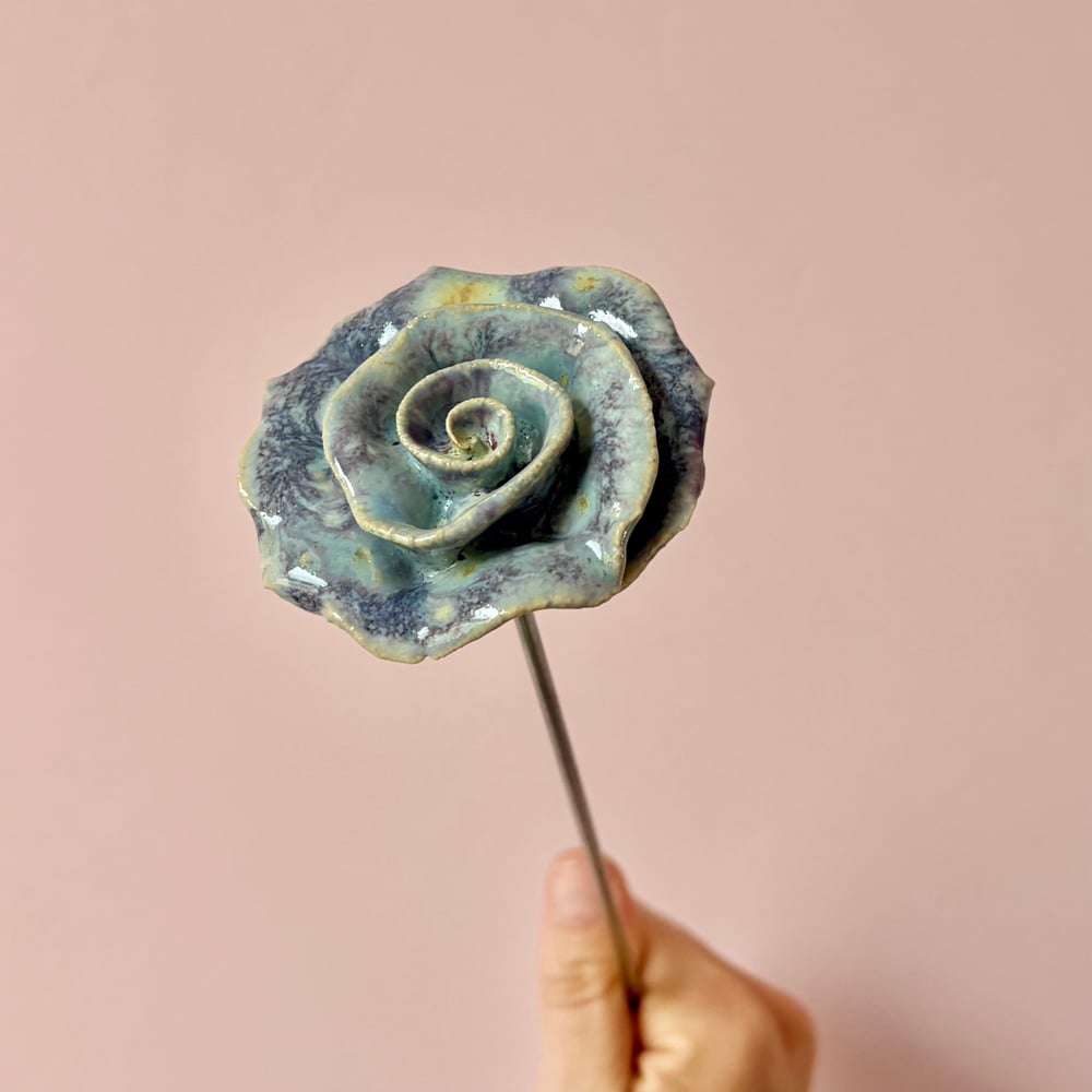 Image of Purple Giftboxed Rose 