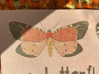 Image 2 of A butterfly can’t see its own wings print