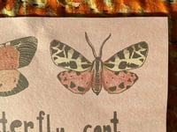 Image 3 of A butterfly can’t see its own wings print