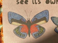 Image 4 of A butterfly can’t see its own wings print