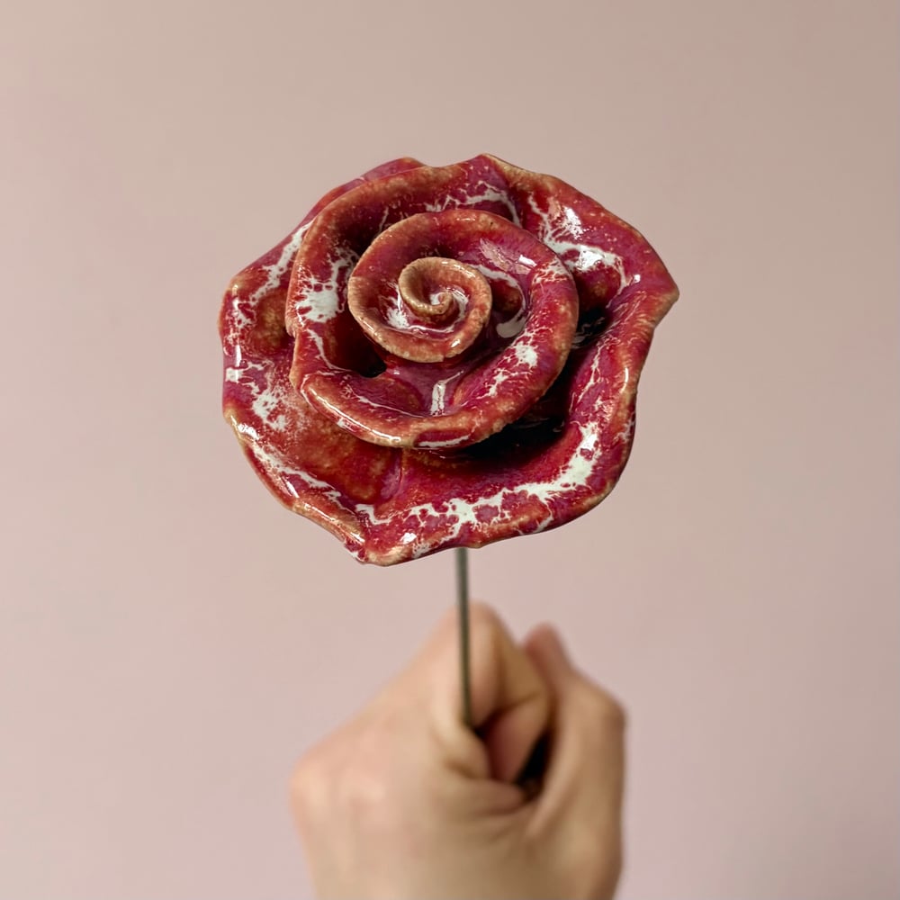 Image of Red Giftboxed Rose 