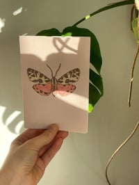 Image 3 of Butterfly card set 