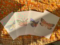 Image 1 of Butterfly card set 