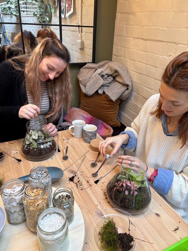  Terrarium Making Class