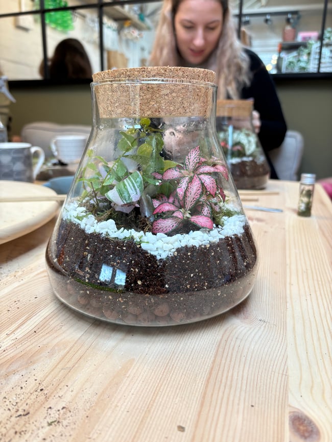  Terrarium Making Class