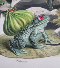 Image 5 of Palletus Townus - Fine art print