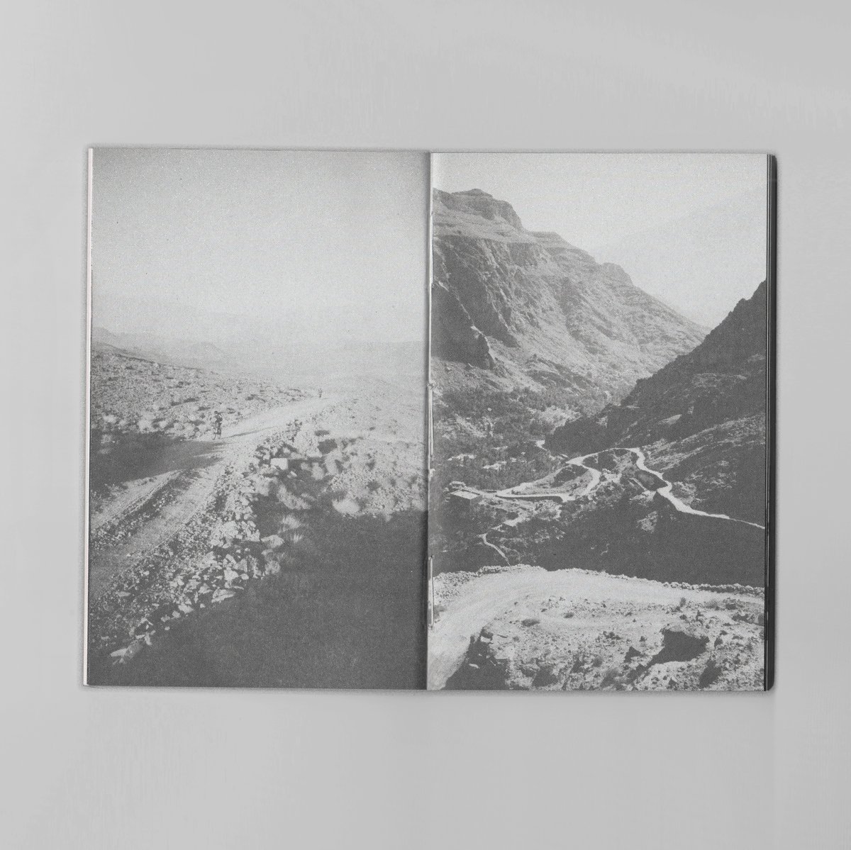 Image of MAROCAIN - RAYONVERT