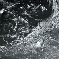 Internal ''Instinct'' - EP